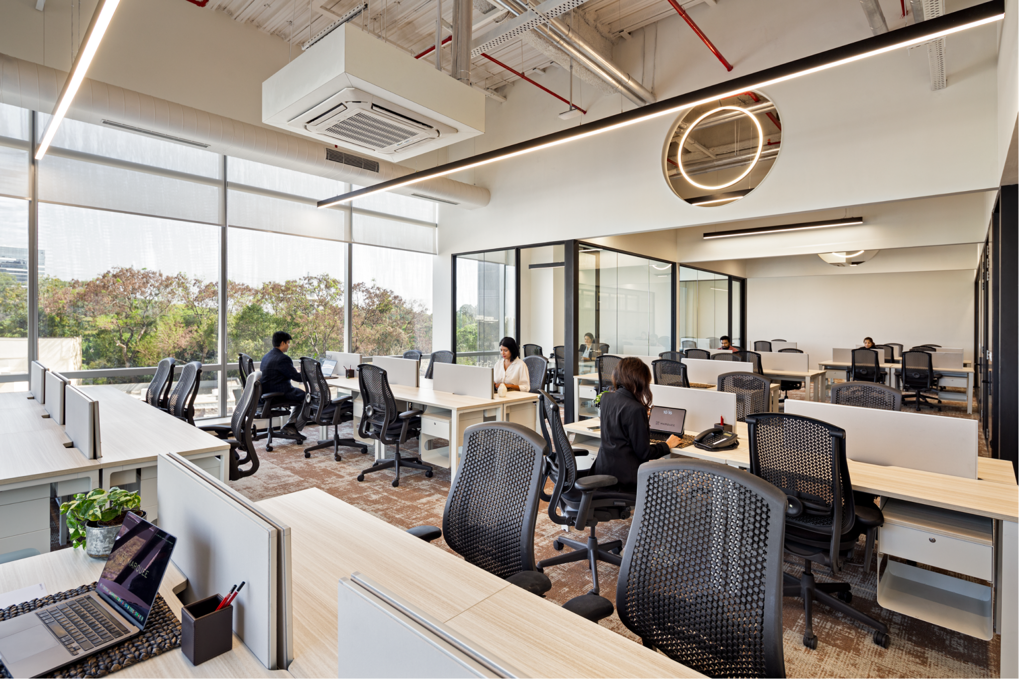 Ergonomic Offices