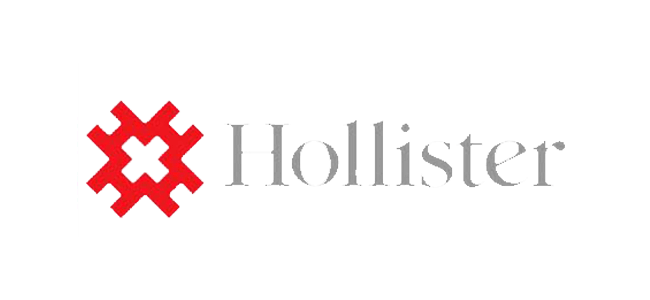 Hollister Logo image